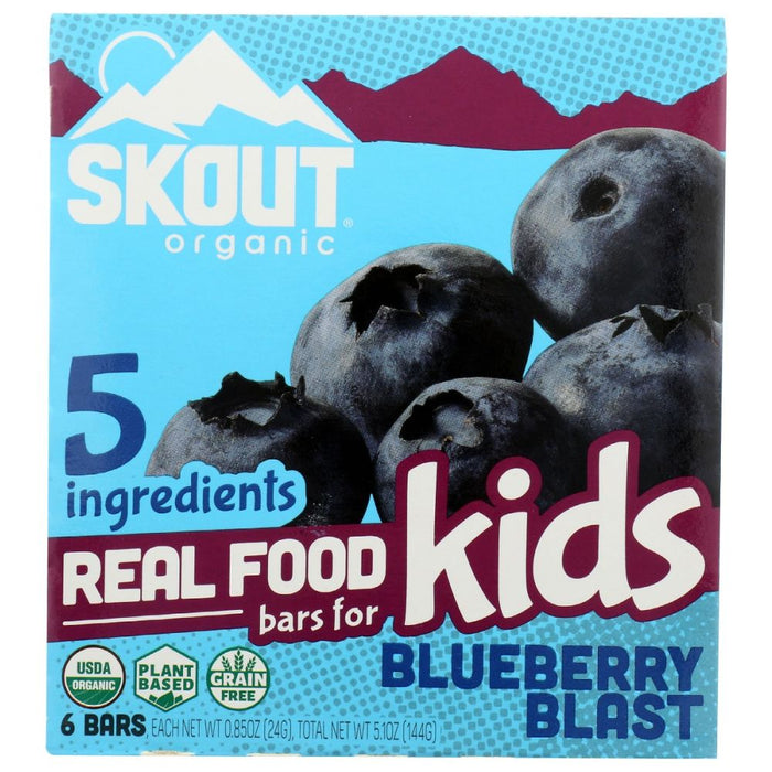 SKOUT: Blueberry Blast Kids Bar, 5.1 oz