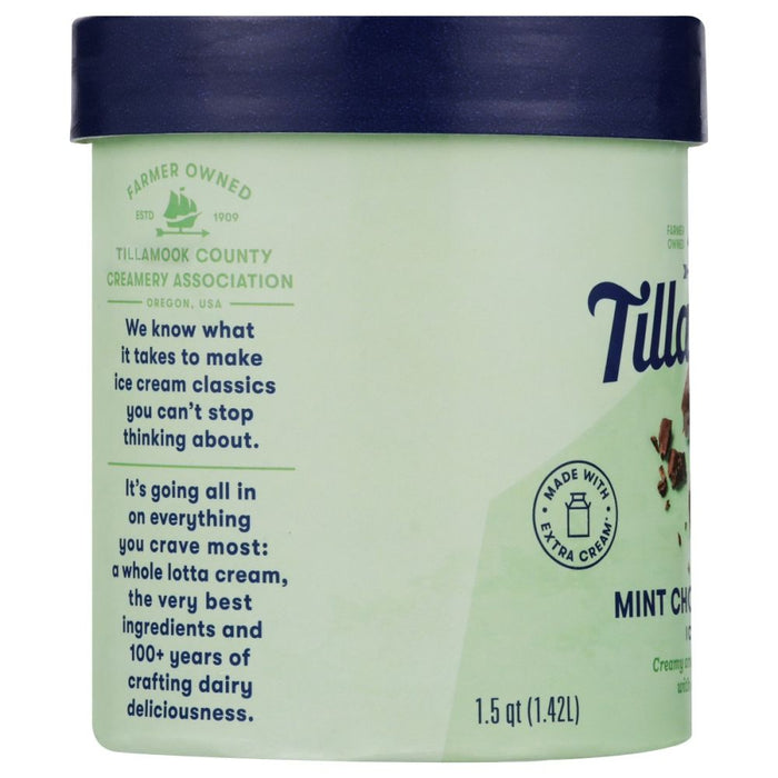 TILLAMOOK: Ice Cream Mint Chocolate Chip, 48 oz